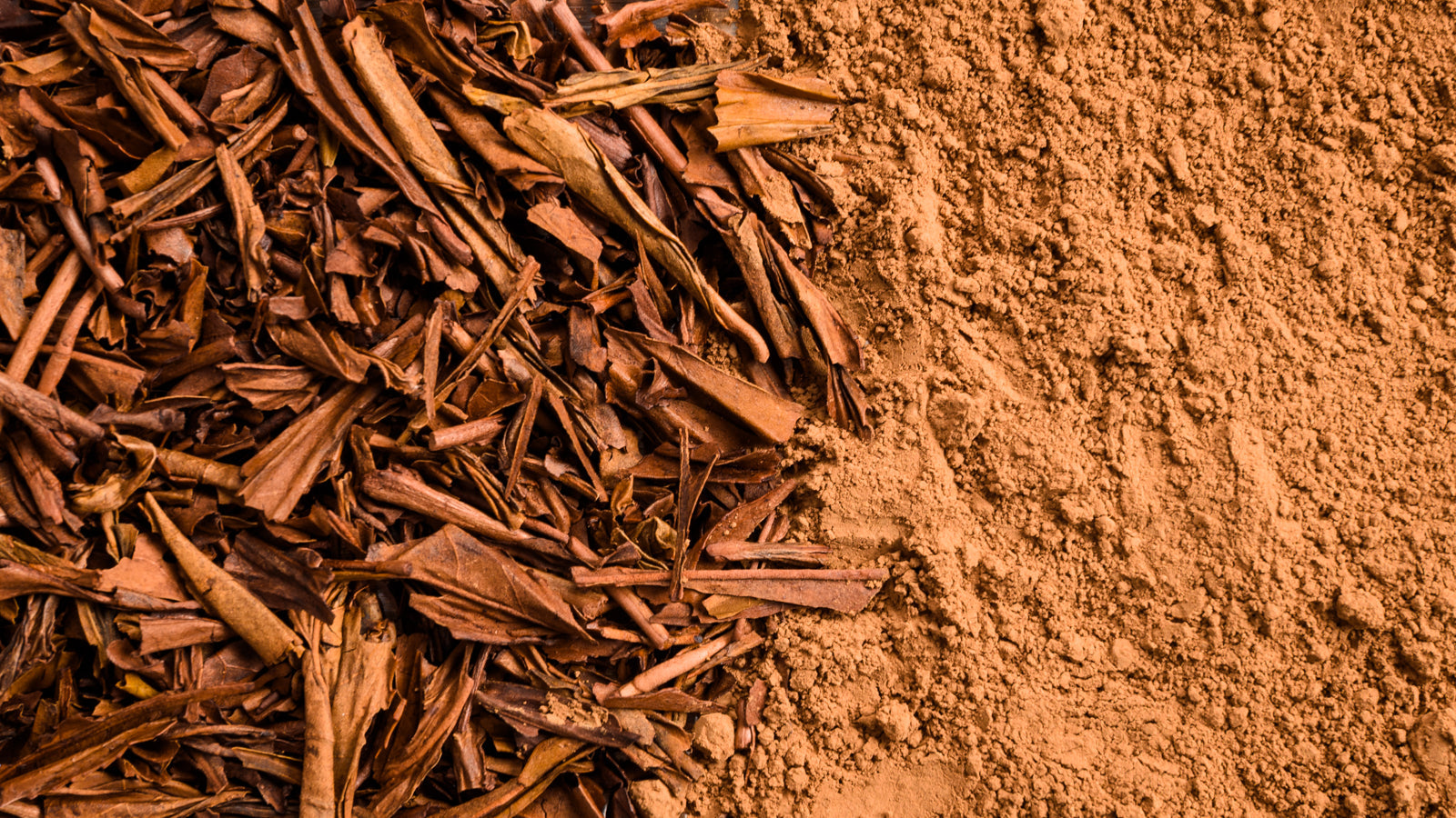 HOJICHA – DET ROSTADE TEET!
