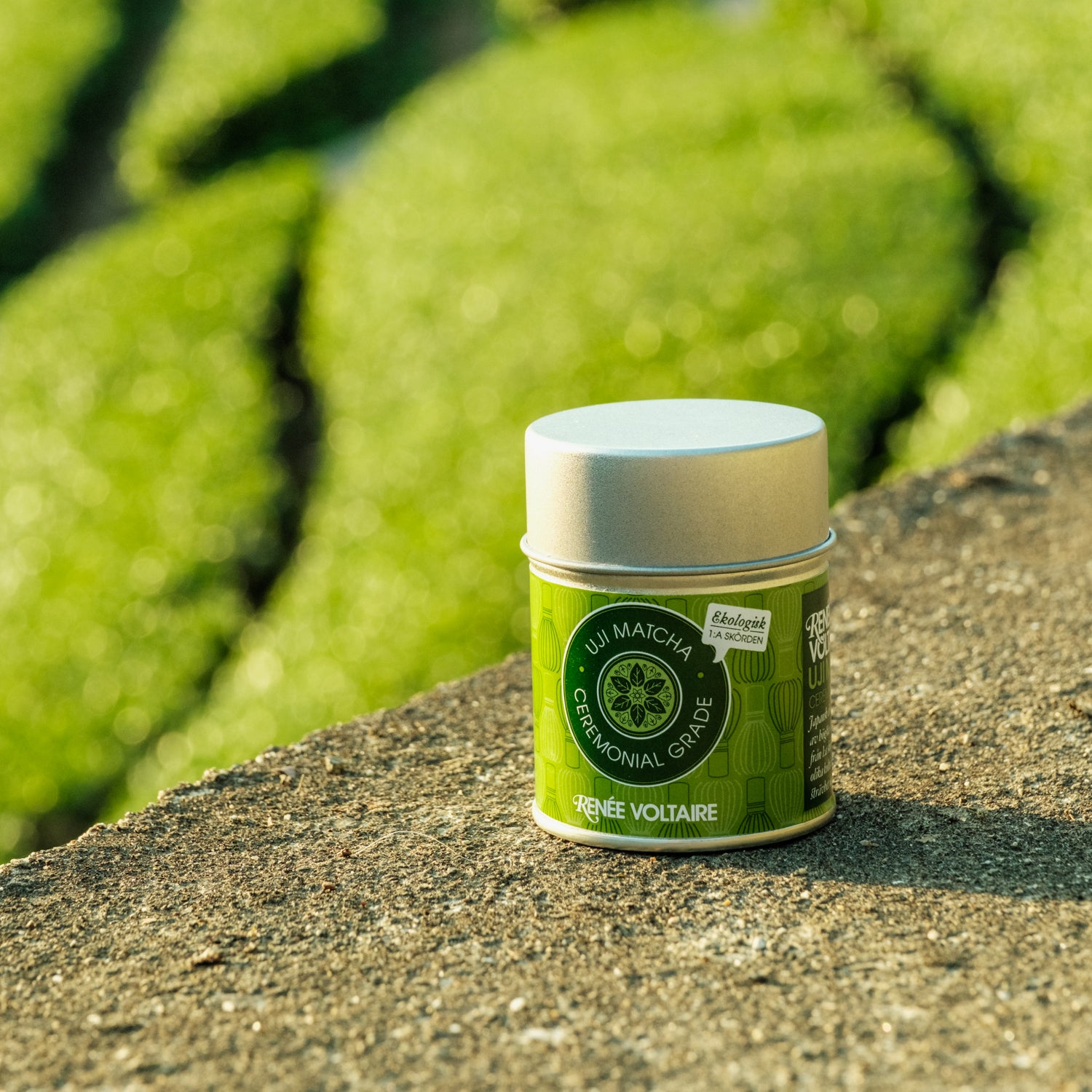 KIT: Uji Matcha Ceremonial Grade & Visp