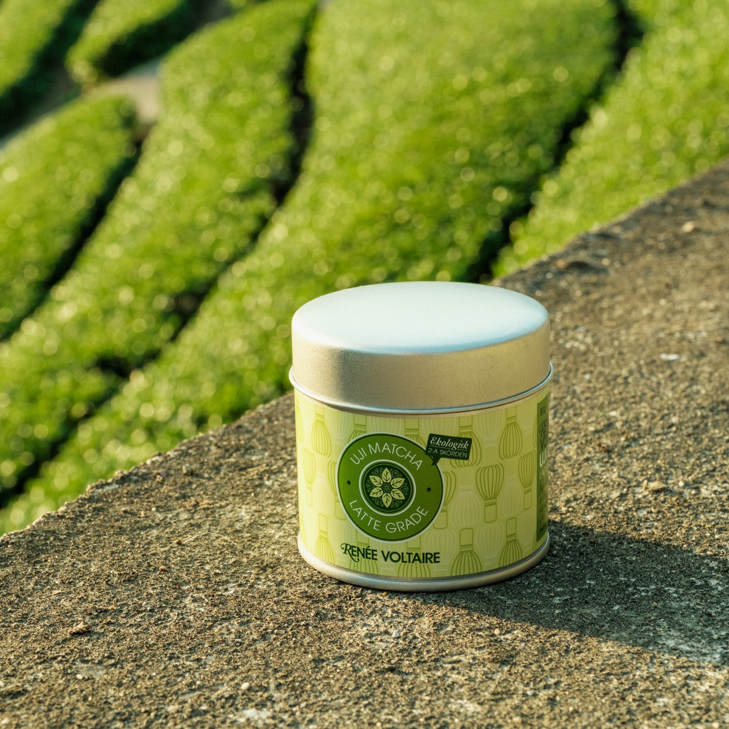 KIT: Uji Matcha Latte Grade & Visp