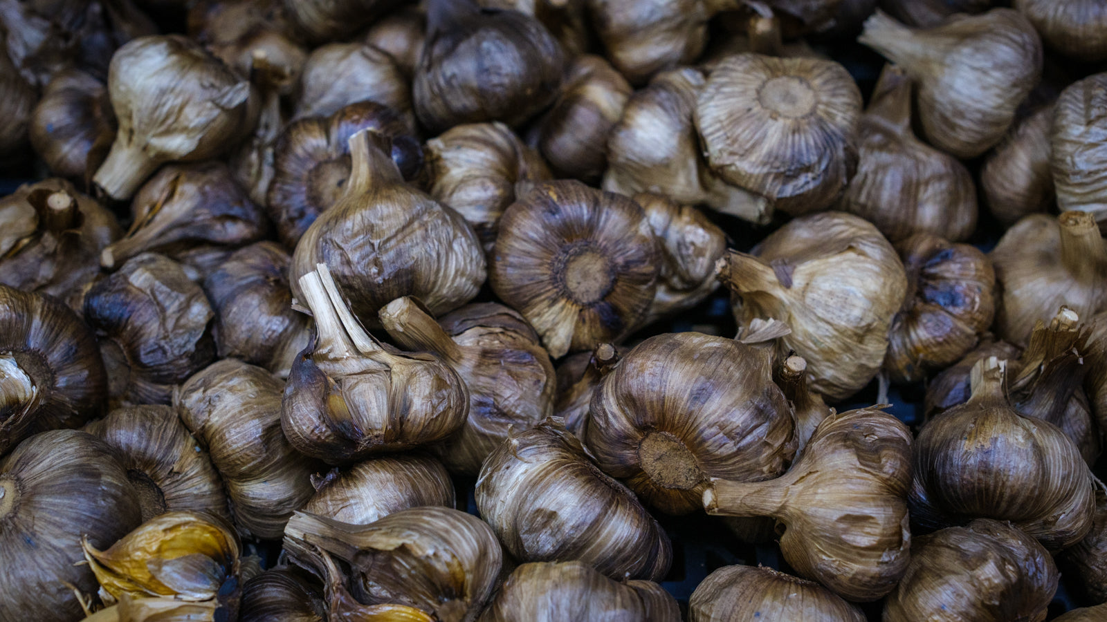 Black Garlic – Långt bortom den vanliga vitlöken