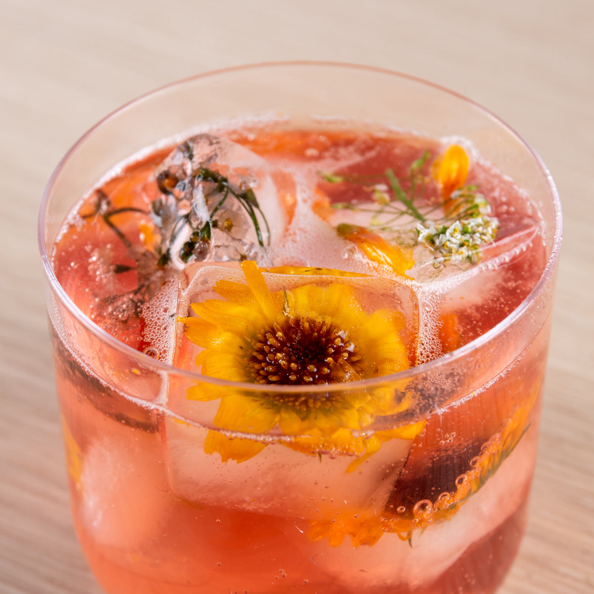 Kombucha – Blueberry & Hibiscus – Renée Voltaire