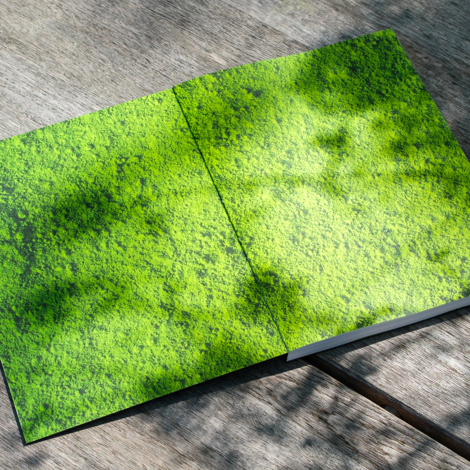 Matcha Moments – Små Gröna Stunder för Kopp, Fat & Själ