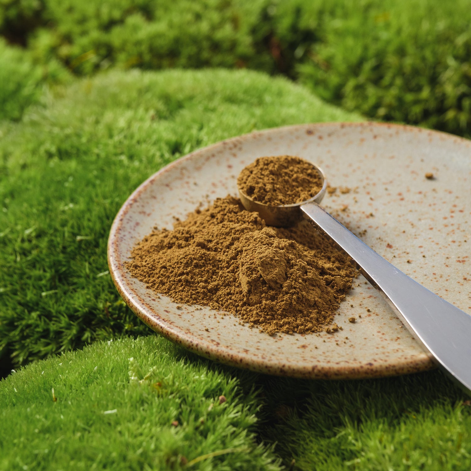 Lattemix – Hojicha & Chai