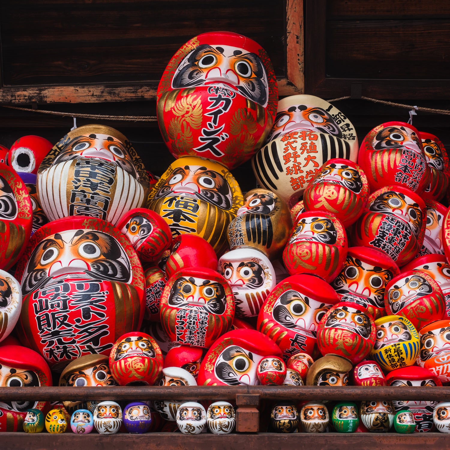 Daruma Doll – Successful Career